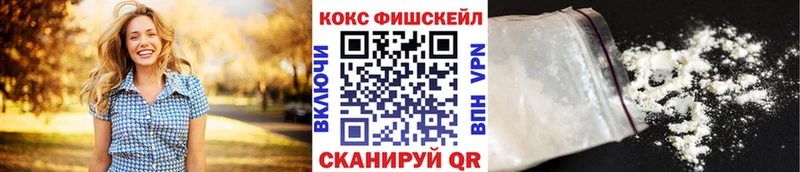 Cocaine FishScale  Купить закладки  Вятские Поляны 