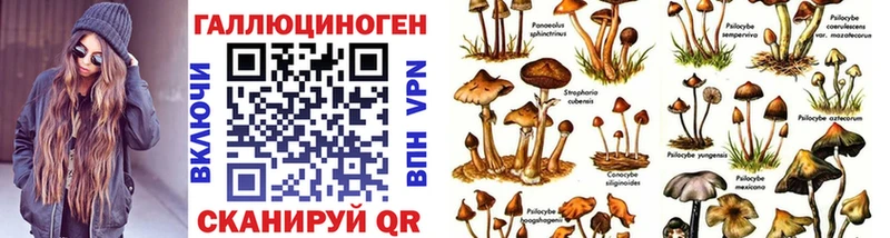 Купить закладки  Вятские Поляны  Галлюциногенные грибы Magic Shrooms 