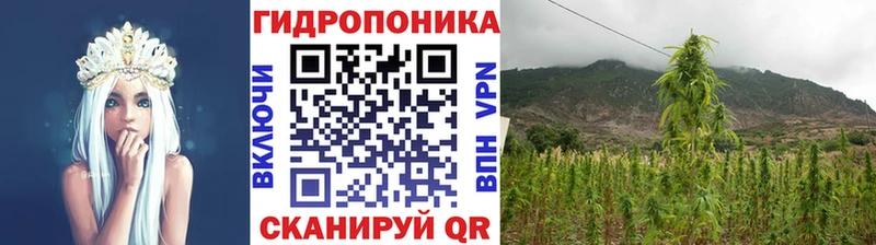 Бошки марихуана ГИДРОПОН  Купить  Вятские Поляны 